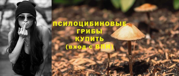 марки lsd Богданович