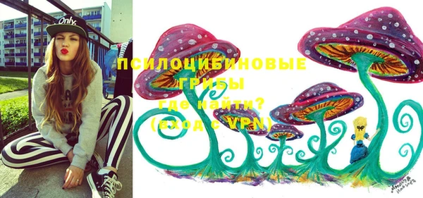 a pvp Богородицк