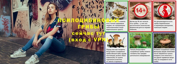 экстази Богородск