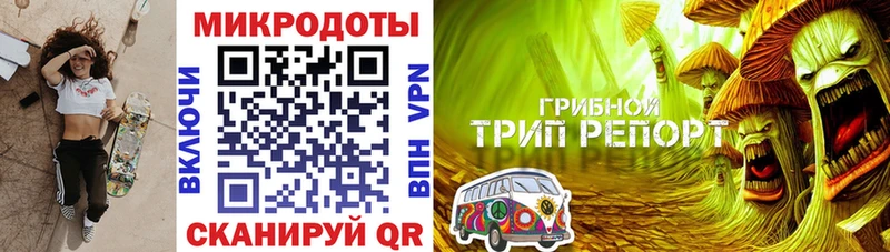OMG ссылки  Кодинск  Галлюциногенные грибы Magic Shrooms 
